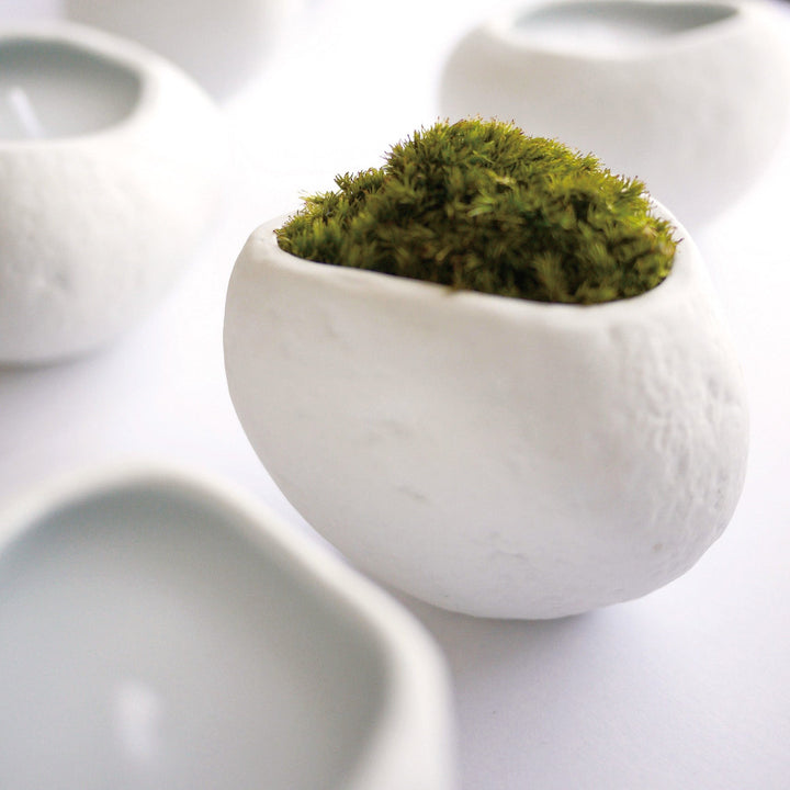 Sasso Geranium Candle