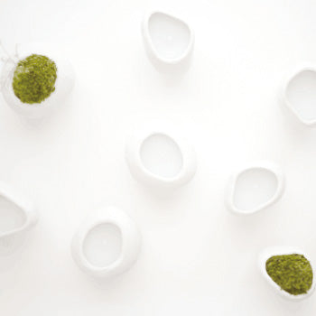 Sasso Geranium Candle