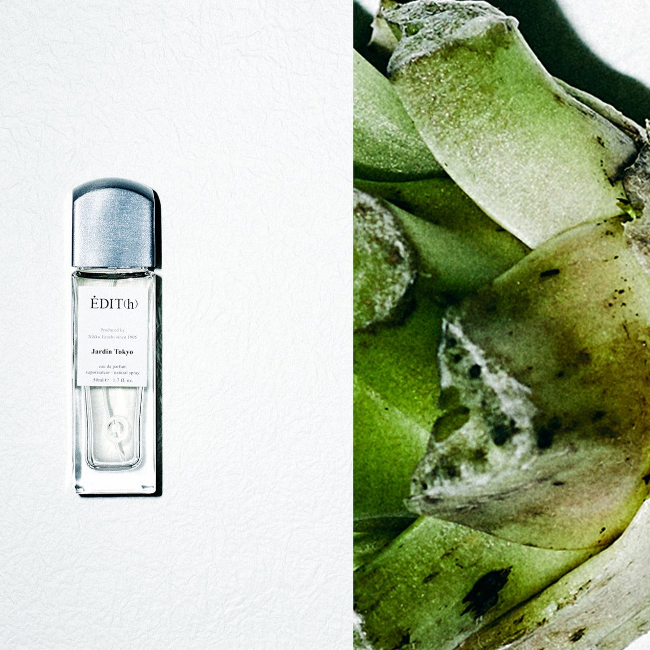 EDIT(h) Jardin Tokyo Eau de Parfum – Normcore Fragrance