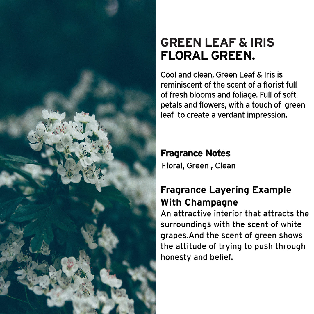Green Leaf & Iris Reed Diffuser