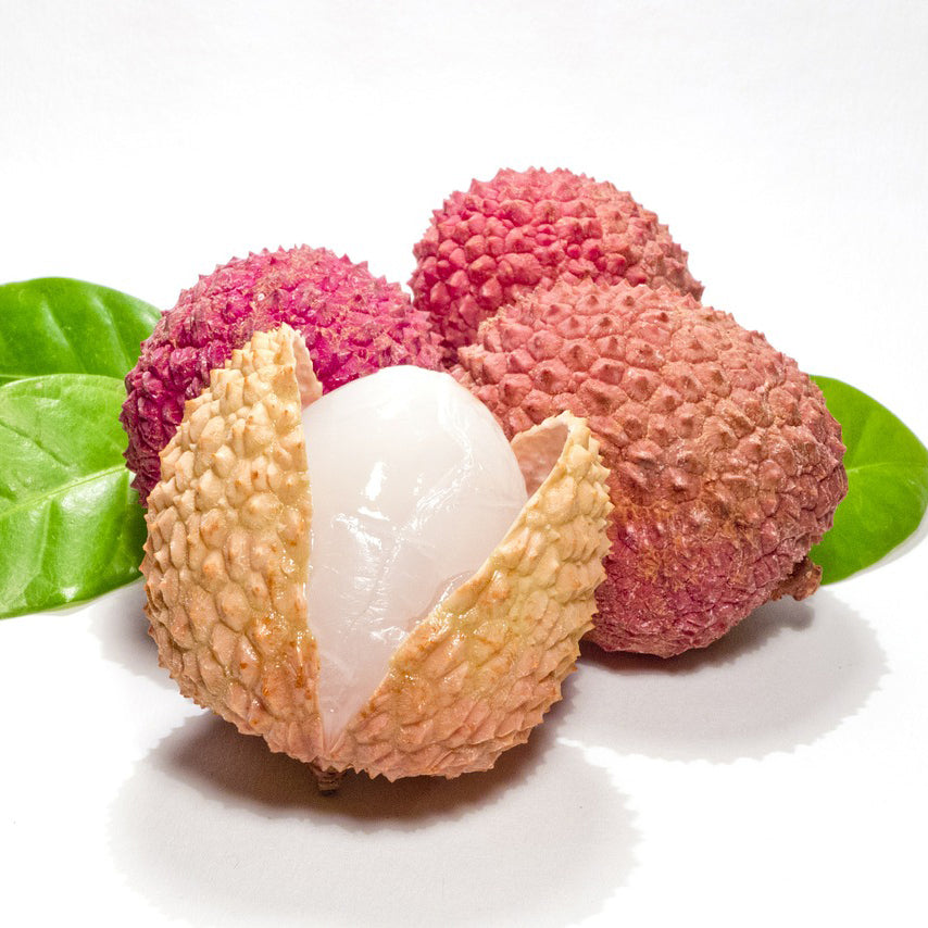 Sugar Lychee Reed Diffuser - Thumbnail 2